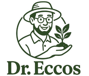 Imagem site roberto (4)